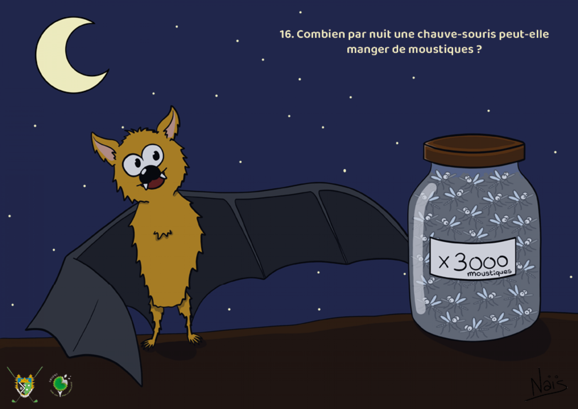 Réponse : 3000. En moyenne, chaque nuit, une chauve-souris dévore l’équivalent en poids de 3000 moustiques. De manière générale, la chauve-souris insectivore se nourrit quotidiennement d’un tiers de son poids en insectes. Certaines peuvent ingurgiter de bien plus grandes quantités, jusqu’à l’équivalent de leur poids total.